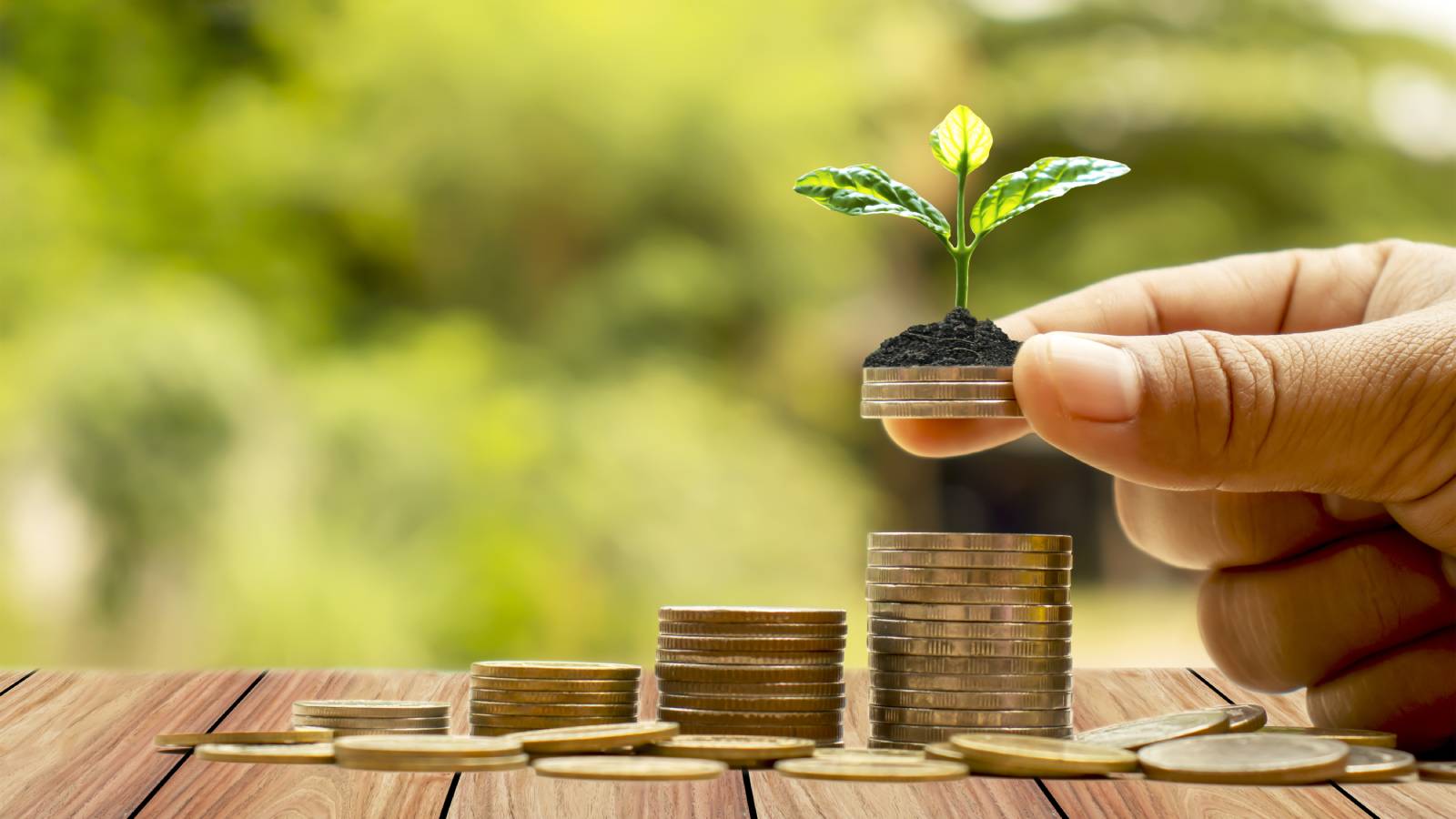 ESG Vs. SRI Investing: What’s The Difference? | Bay Point Wealth